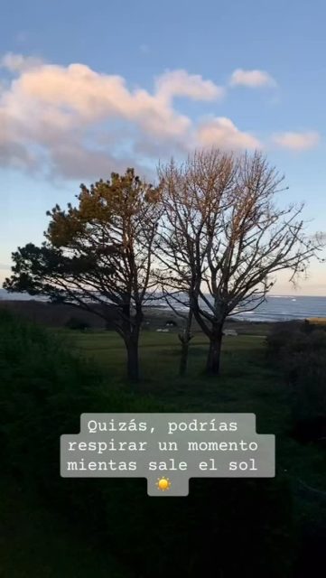 A veces solo hace falta respirar un momento y volver al cuerpo antes de continuar. 

#amanecer #respirar #naturaleza #recuperacion #traumacomplejo